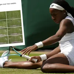 Tenisistka na trawiastych kortach Wimbledonu. Obok zdjęcie pokazujące, jak zmieniają się korty w ciągu dwóch tygodni.