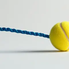 Piłka tenisowa na gumce: Jakie ma zalety i do jakich zastosowań?