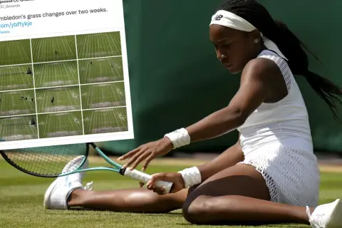 Tenisistka na trawiastych kortach Wimbledonu. Obok zdjęcie pokazujące, jak zmieniają się korty w ciągu dwóch tygodni.