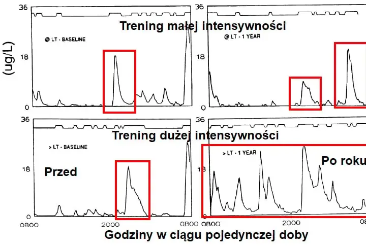Hormon wzrostu przed czy po treningu - kiedy osiągniesz najlepsze efekty?