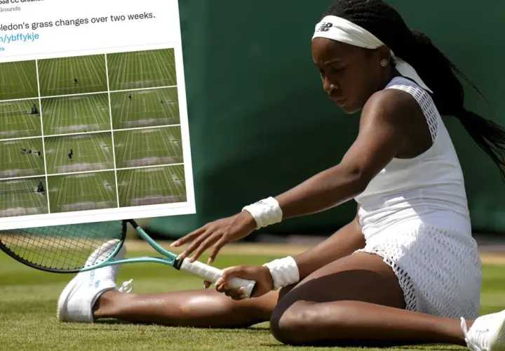 Tenisistka na trawiastych kortach Wimbledonu. Obok zdjęcie pokazujące, jak zmieniają się korty w ciągu dwóch tygodni.