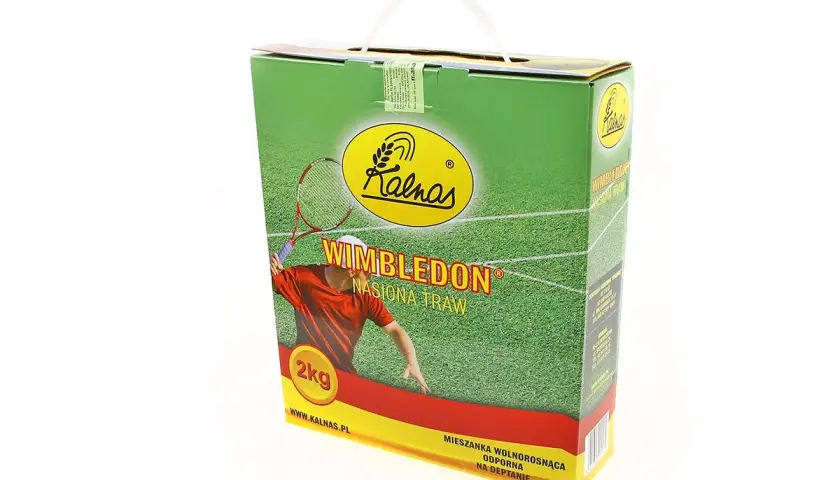 Jak długo wschodzi trawa Wimbledon i jakie warunki są kluczowe?