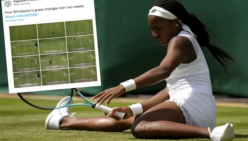 Tenisistka na trawiastych kortach Wimbledonu. Obok zdjęcie pokazujące, jak zmieniają się korty w ciągu dwóch tygodni.