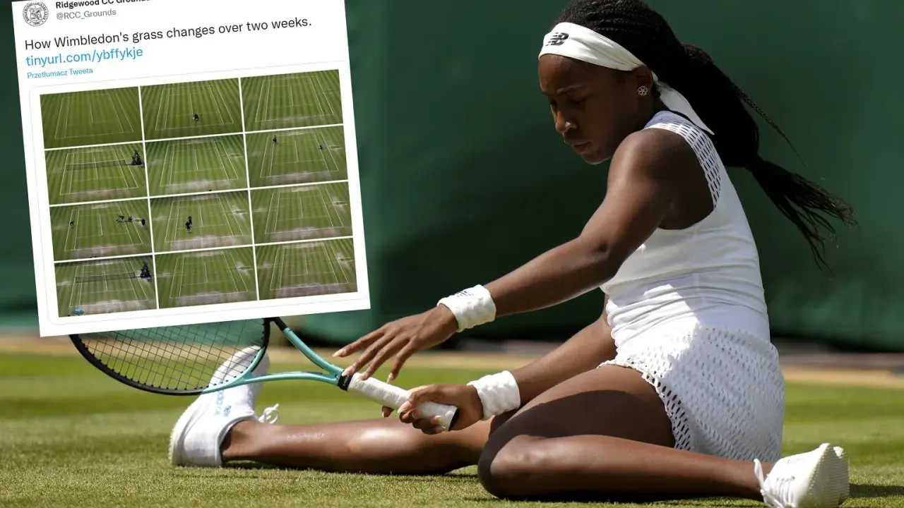 Tenisistka na trawiastych kortach Wimbledonu. Obok zdjęcie pokazujące, jak zmieniają się korty w ciągu dwóch tygodni.